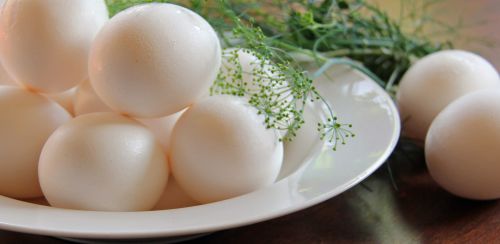 Bowl Of Eggs With Fresh Herbs