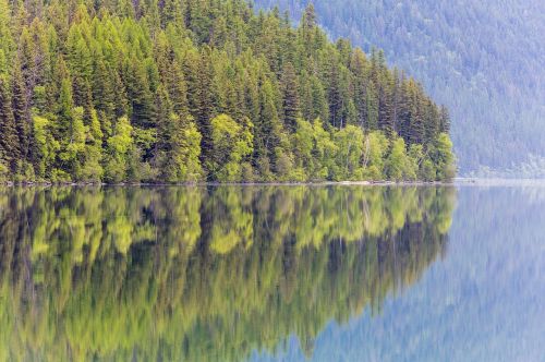 bowman lake reflection trees