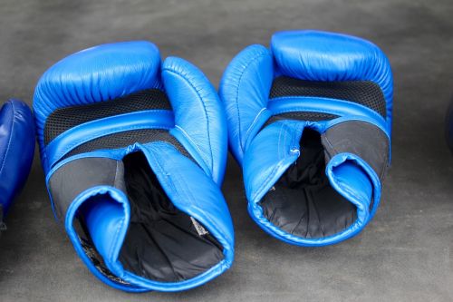 box gloves blue
