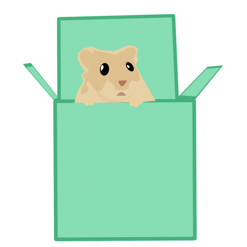 box cute hamster