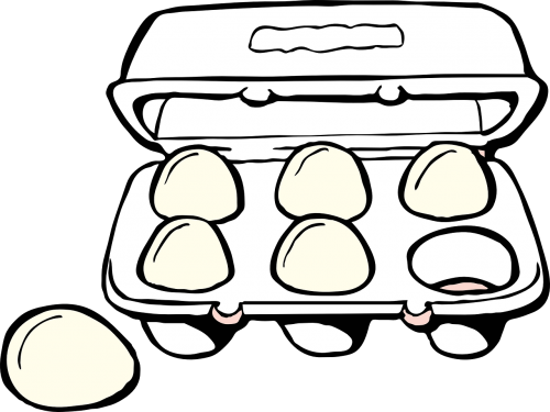 box carton eggs