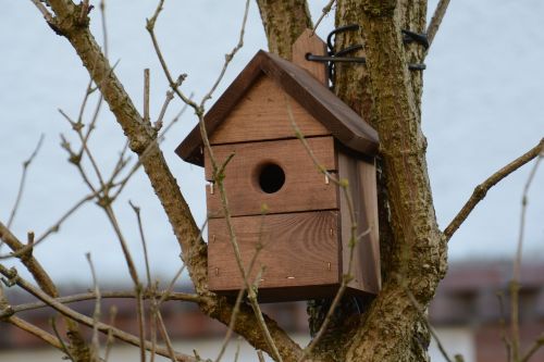 box bird home