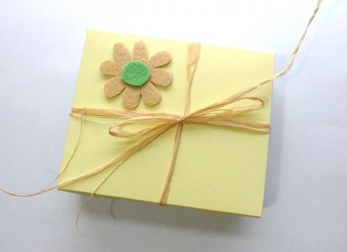 box daisy gift