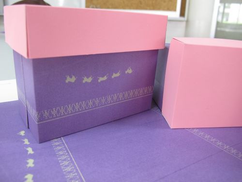 box cat paper