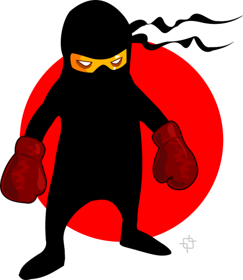 boxer ninja fighter
