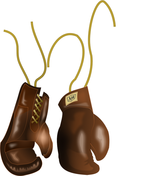 boxing equipment gloves