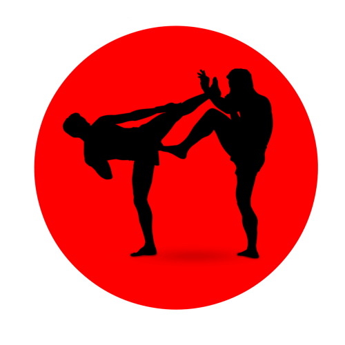 boxing icon silhouette