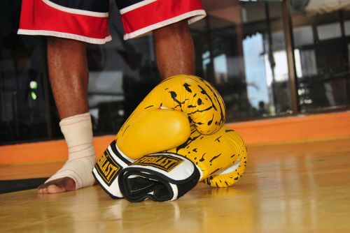 boxing gloves boxer