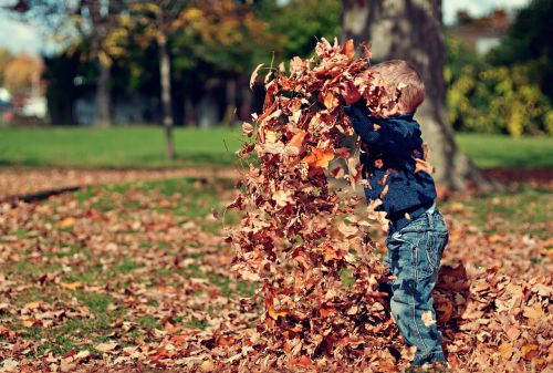 boy playing leaves