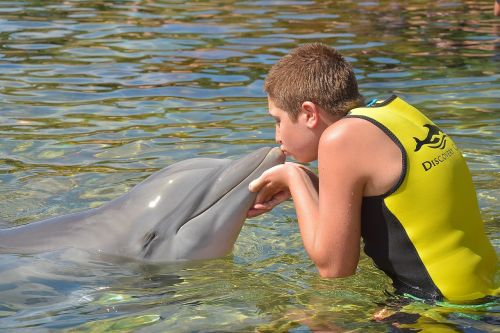 boy dolphin kiss