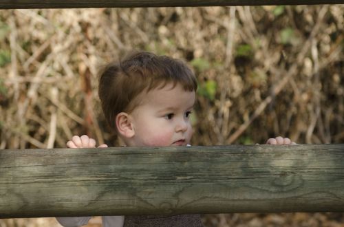 boy cute toddler