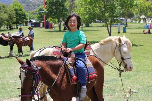 boy horse happiness