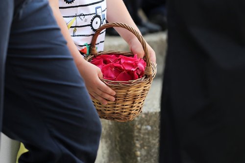 boy  basket with red rose petals  corpus christi feast