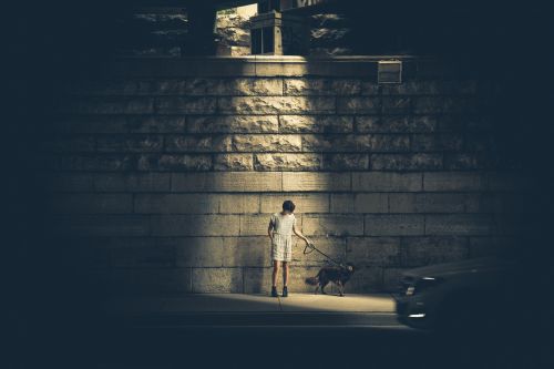 boy alone dog
