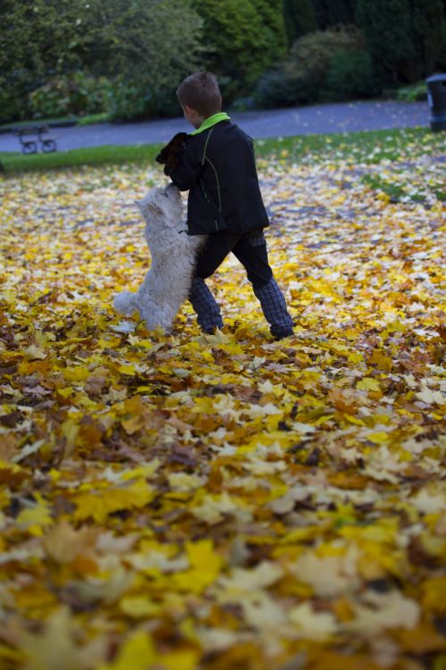 Boy And Autumn Leaves