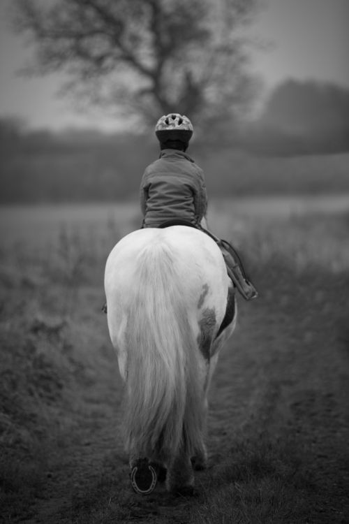 Boy Horseback Riding
