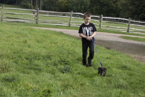 Boy With Dog