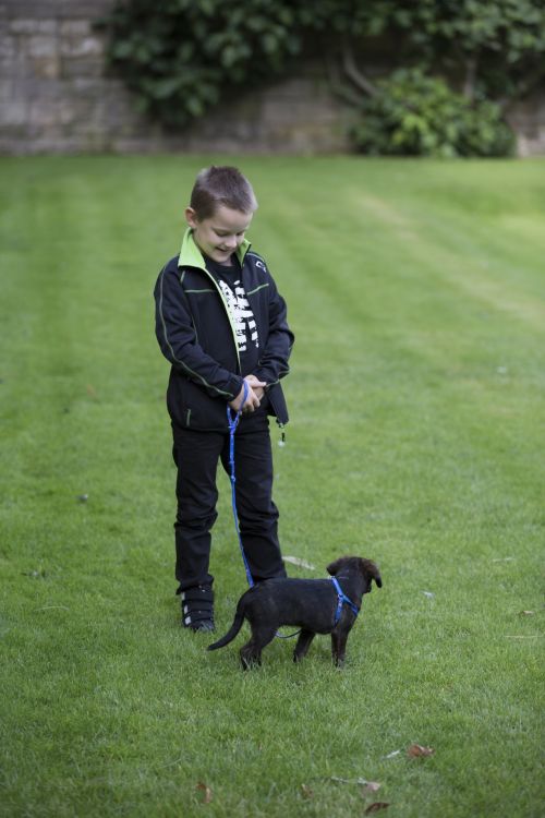 Boy With Dog