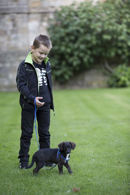 Boy With Dog