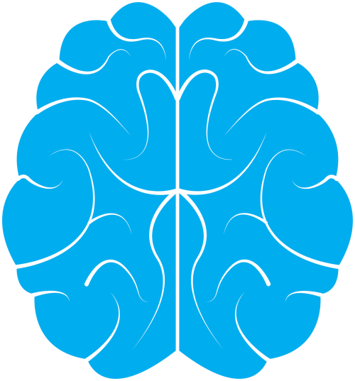 brain icon human