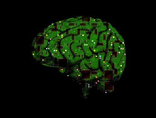 brain circuit intelligence