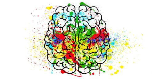 brain mind psychology