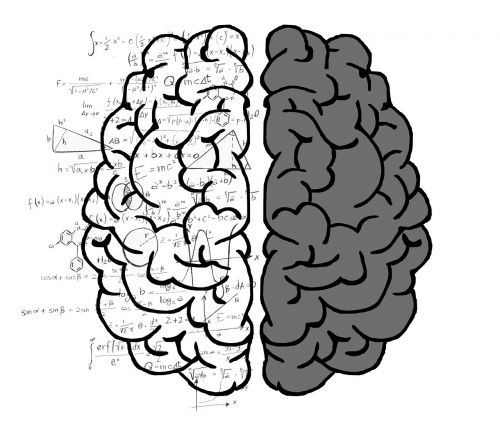 brain mind psychology