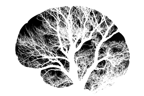 brain tree black