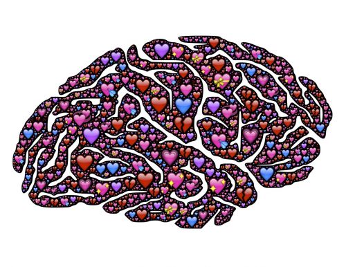 brain hearts love