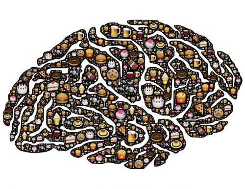 brain mind obsession