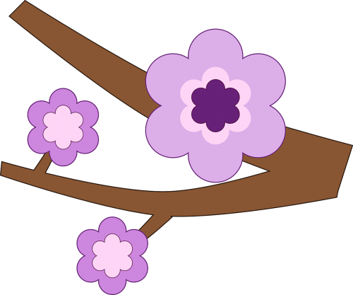 branch flower nature