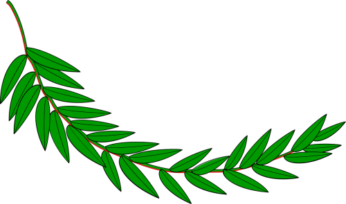 branch laurel leaf