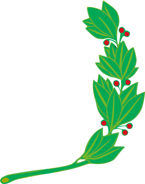 branch laurel leaf