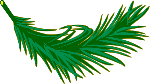 branch frond leaf