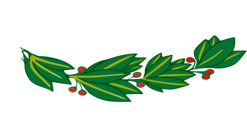branch laurel leaf