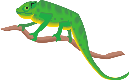 branch green chameleon
