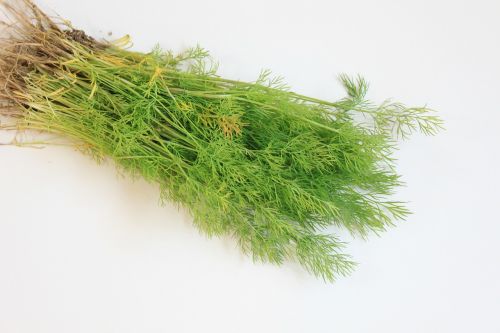 branch dill flavor