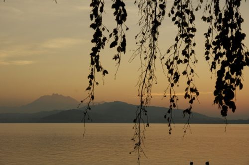 branches sunset lake