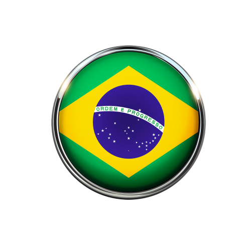 brazil flag circle