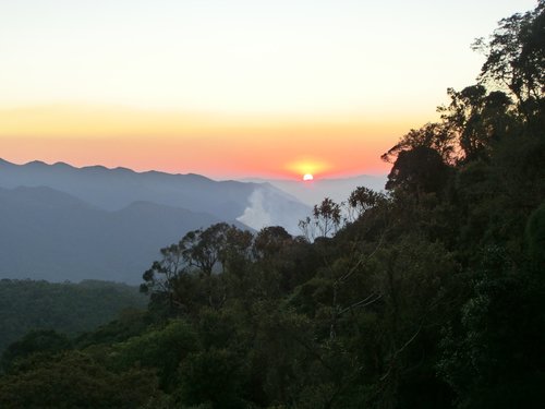 brazil  national park  itatiaia