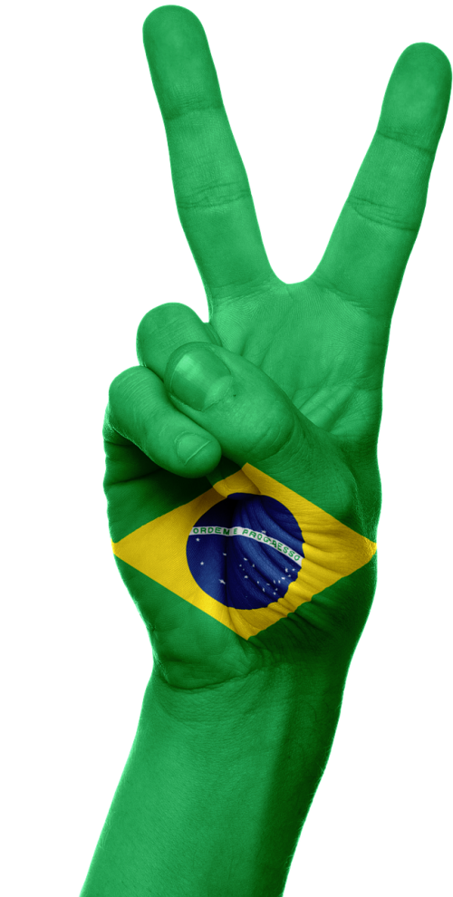 brazil flag hand