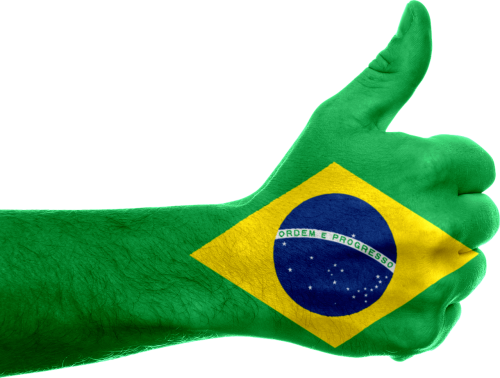 brazil flag hand