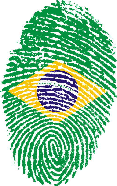 brazil flag fingerprint