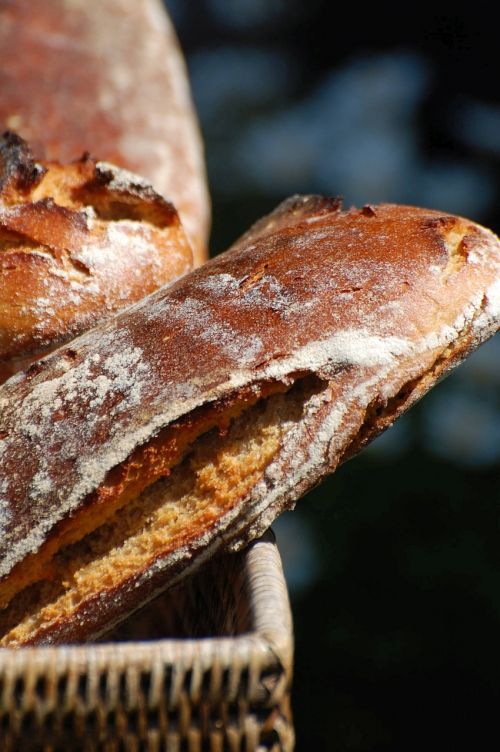 bread basket breadbasket