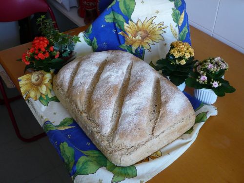 bread food kitchen