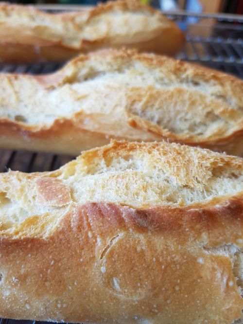 bread home artisan bread