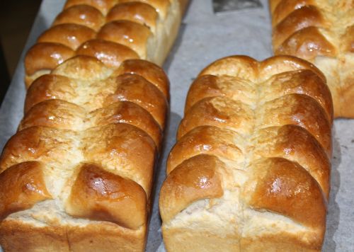 bread bakery nutrition