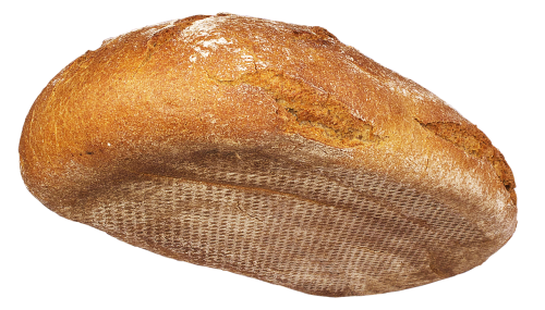 bread loaf of bread bottom