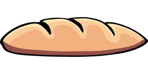 bread bun food