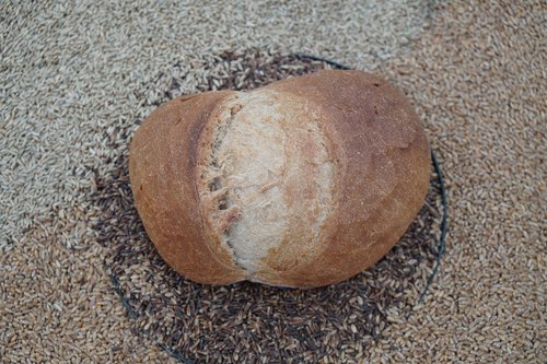 bread  grain  food